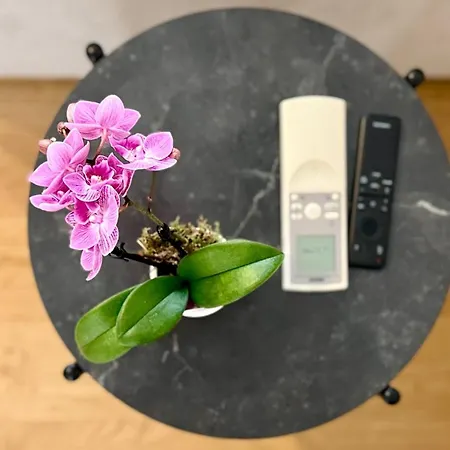 Laus Via Marchese Di Montrone - Lux & Design In The Center Of - New Opening Lägenhet