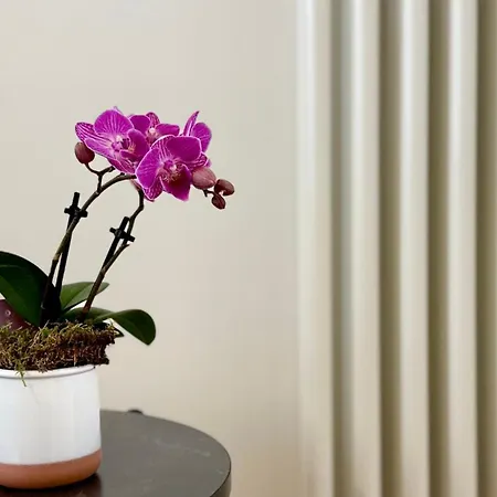 Lägenhet Laus Via Marchese Di Montrone - Lux & Design In The Center Of - New Opening Bari