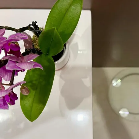 Laus Via Marchese Di Montrone - Lux & Design In The Center Of - New Opening Lägenhet *