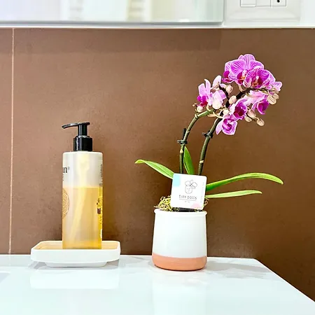 Laus Via Marchese Di Montrone - Lux & Design In The Center Of - New Opening Lägenhet *