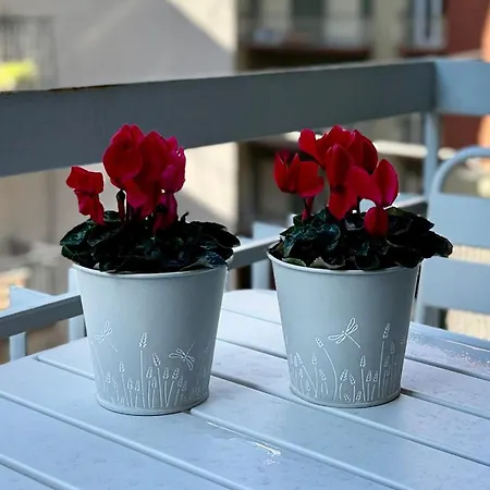 Lägenhet Laus Via Marchese Di Montrone - Lux & Design In The Center Of - New Opening Bari