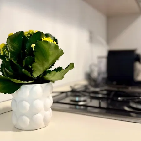 Laus Via Marchese Di Montrone - Lux & Design In The Center Of - New Opening Lägenhet